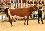 IMG 0115