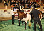 IMG 3552