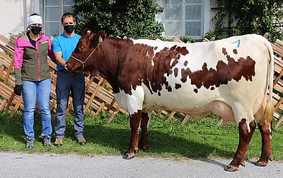 DOLLY (V.Storm) von Josef Volgger, Nusser, Weißbach