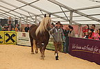 IMG 0871