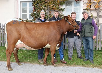 Jungkuh WUNDER vom Landwirtschaftlichen Betrieb der LFS Bruck, Piffgut
