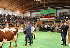 IMG 6807