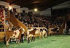 IMG 3608