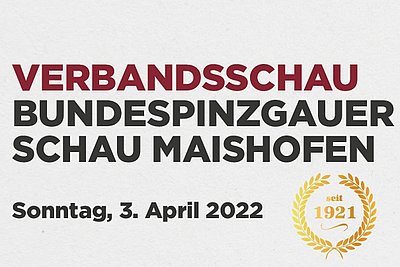 News Titelbild