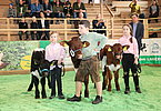 IMG 5863
