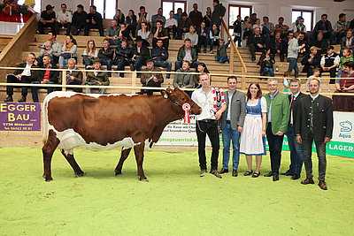 "Paradekuh" MUNTER (V.RESTER) - Mutter der beiden Besamungsstiere LESTER (V.LENZ) und MAMUT (V.MALZ) auf der Verbandsschau 2019 in Maishofen