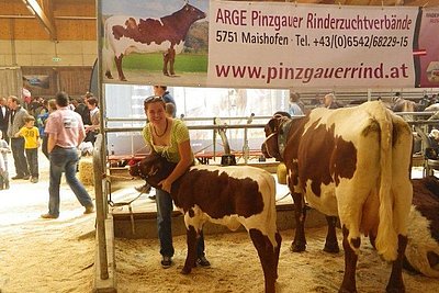 News Titelbild
