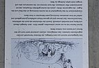 IMG 7782
