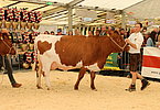 IMG 0116