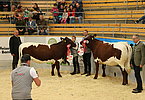 IMG 3696