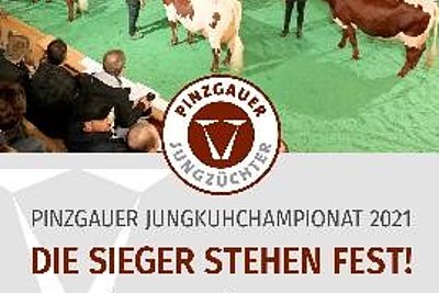 News Titelbild