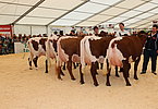IMG 9957