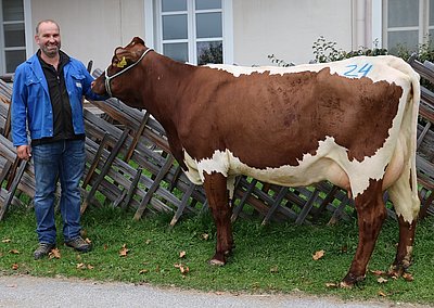 Jungkuh ELSA (V.Loris, 47,2%RF) von Hannes Eder, Bartl, Niedernsill
