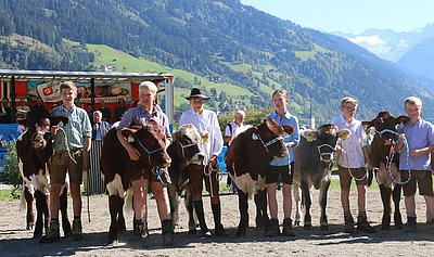 Alle haben Platz - ob braun, grau oder andersfärbig...!