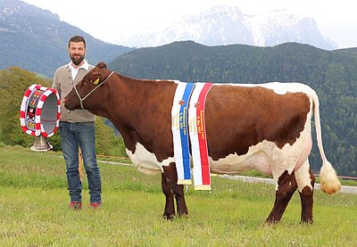 Gratulation zu dieser Spitzenzucht! Matthias Ploner mit seiner Euter- und Schausiegerin VEGILE (Ruben x Lust)