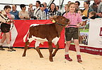 IMG 0764