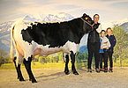 Kat.Nr. 143 - Gruppensiegerin DOLLY (V.Rausch) v. Josef Volgger, Nusser, Weißbach