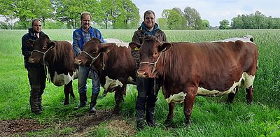Drei, die von der Eurotier direkt zu Brockmanns wechselten - v.l.Sturm 2014, Larissa 2016 und Vikie 2018