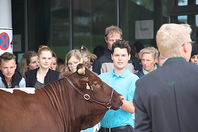 Den Preisrichter immer im Blick - Peter Landmann vom Oberleingut hat bereits Schauerfahrung!