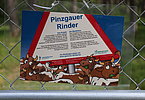 Ein nettes Hinweisschild macht auf die schöne Belebung mit Pinzgauern im Augsburger Stadtpark aufmerksam!Ein nettes Hinweisschild für den mit Pinzgauern belebten Augsburger Stadtpark!