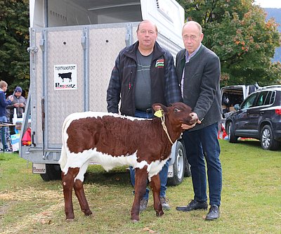 Original Pinzgauer-Zuchtkalb NELLI (V.LEGRO)
wurde im Oktober 2023 um einen Zuschlagspreis von € 1.000,- nach Kärnten verkauf