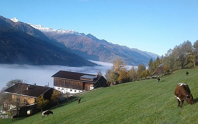 Traumhafte Herbsttage gehen dem Ende zu!