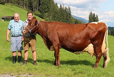 Mit Freude präsentieren Ferdinand und Josef Moser ihre Ausnahmekuh ELECTRA!