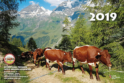 Pinzgauer Kalender international 2019