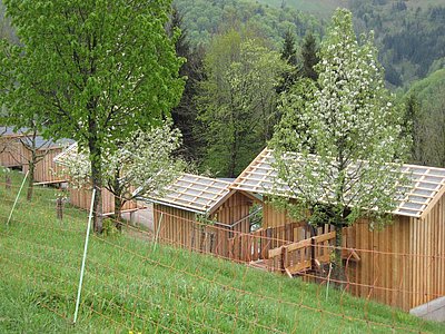 Alles Geflügel schön unter Dach und Fach - von den Küken bis zu den fertigen Masthenderl gibt's jeweils eigene Behausungen