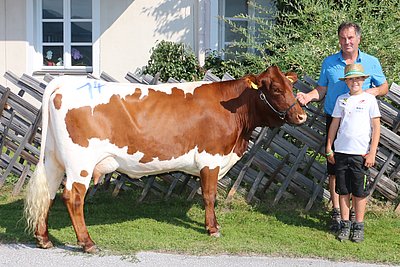 News Titelbild
