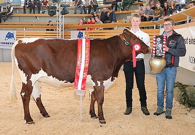 WALDIN von Josef Höttl, Obermühle, Mittersill und vorgeführt von Florian Schaidreiter konnte sich als Reservechampion der Pinzgauer-Rasse feiern lassen!