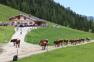 Ein überaus lohnendes Ziel - die Mordaualm in der bayerischen Ramsau!