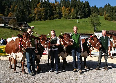 Ein prächtiges Bild - Katharina, Christina, Michael jun. und sen. Manzl, Ginzern präsentieren mit Freude ihre Pinzgauer-Kühe!