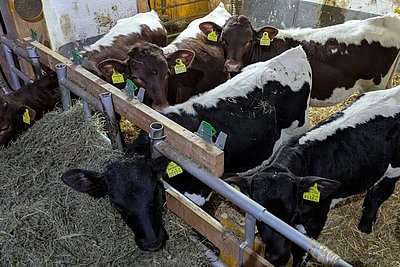 News Titelbild