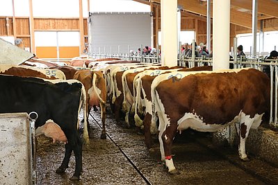 Am Steinerhof wird auf Leistungsbereitschaft gesetzt!