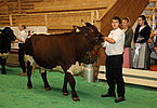 IMG 3311