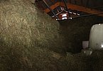 IMG 7815