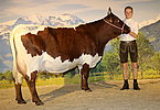 Kat.Nr. 227 - ALMA (V.Lenz) v. Hubert Flatscher, Wimmer, Unken