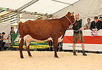 IMG 9941