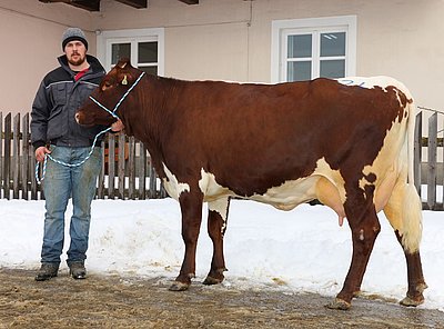 KERSCH (V.Ramorat) von Michaela Mitterlechner, Lindbichl, St. Johann/Pg.