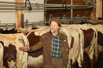 Albert Zech aus Raggal ist überzeugt von seiner Pinzgauer-Milchkuhherde!