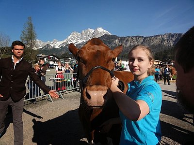 Die Tiere strahlten mit der Sonne um die Wette - Lisa Edenhauser vom Innergrubhof mit ihrer Lotus-Tochter SILBER