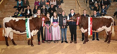 Pinzgauer - Reservesiegerin Wunder von der LFS Bruck, Siegerin Liabin von Elisabeth Unterwurzacher, Schaup, Flachau