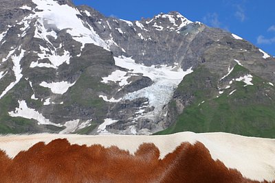 Schöner geht's nicht! Zu Füßen die Pinzgauer und über den Köpfen ein traumhaftes Bergpanorama!