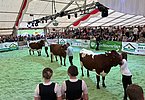 IMG 7108