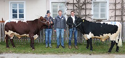 Ein schönes Duett für die BSG! METEOR von Josef Berger und RAUSCH von Josef Höttl, Obermühle, Mittersill (gezüchtet von Maria und Hermann Rainer)