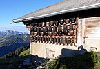 Nicht zu verkennen - der hohe Stellenwert der Schweizer Alpwirtschaft, wo prächtiges Geläut an vorderer Stelle steht!