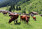 IMG 2063
