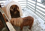 IMG 7798