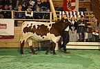 IMG 3622